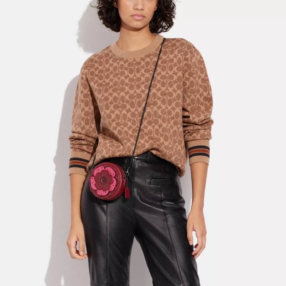 Coach Petite Tea Rose Round Crossbody NWT